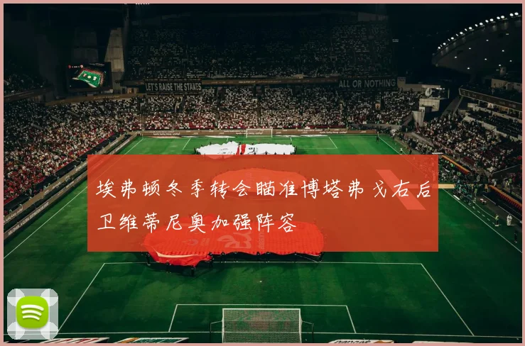 埃弗顿冬季转会瞄准博塔弗戈右后卫维蒂尼奥加强阵容