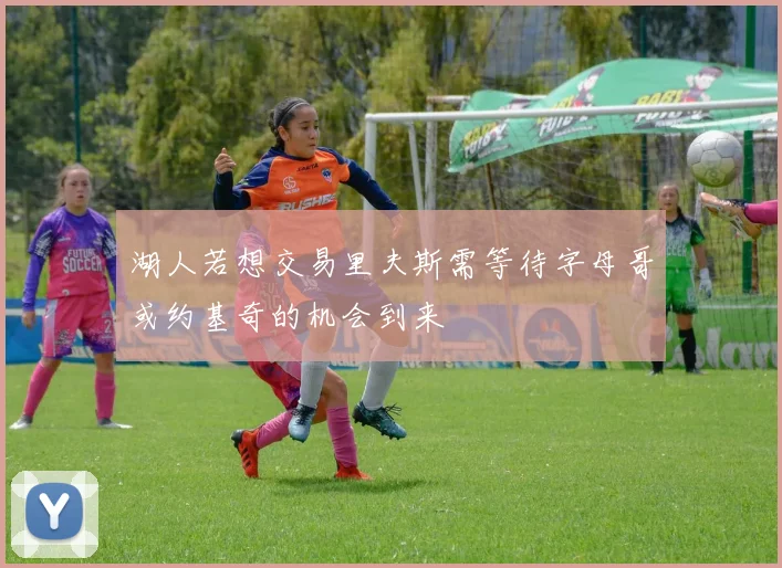 湖人若想交易里夫斯需等待字母哥或约基奇的机会到来
